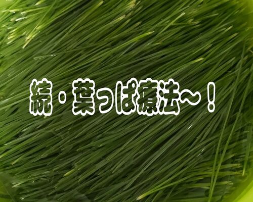 24-04-04-19-20-35-023_deco