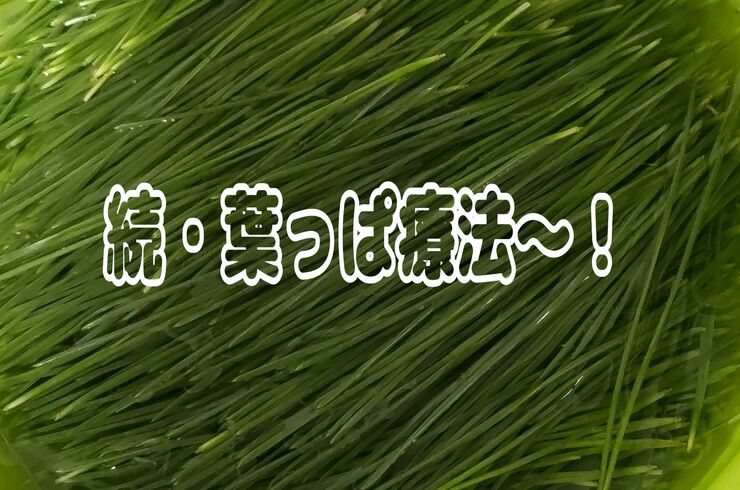 24-04-04-19-20-35-023_deco