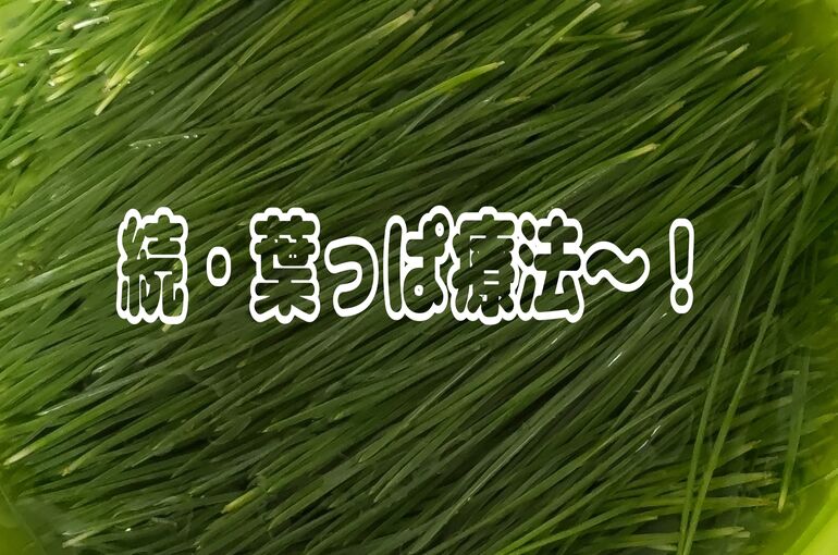 24-04-04-19-20-35-023_deco