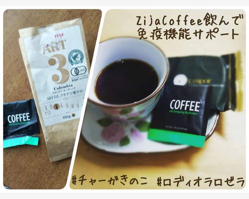 ZijaCoffeeきのこコーヒー　