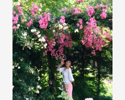 軽井沢レイクガーデンのバラ