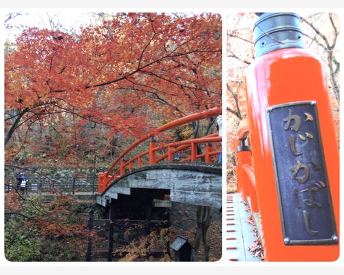 20-11-18-01-13-44-630_deco