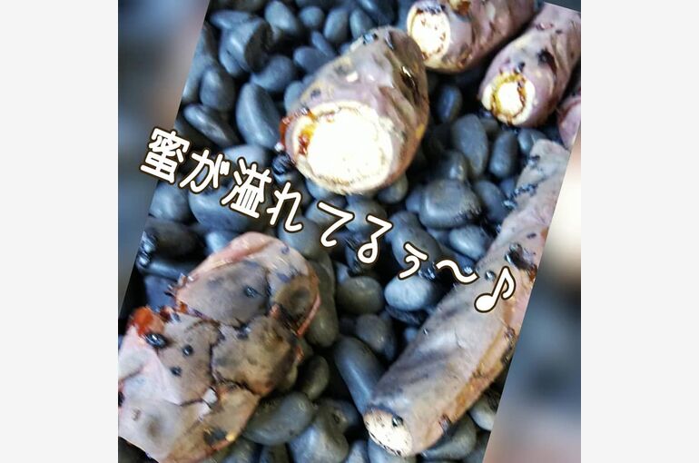 蜜たっぷり焼き芋