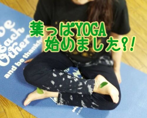 line_177129070568154