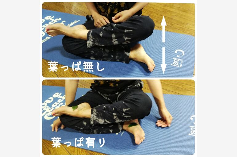 line_177145245727783