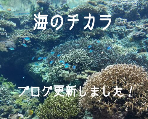 22-04-29-00-01-26-443_deco