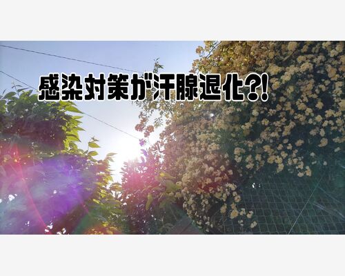 22-05-21-09-42-39-632_deco