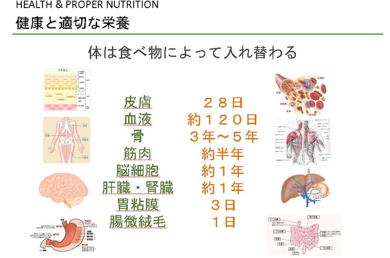 代謝