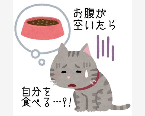 オートファジーとは