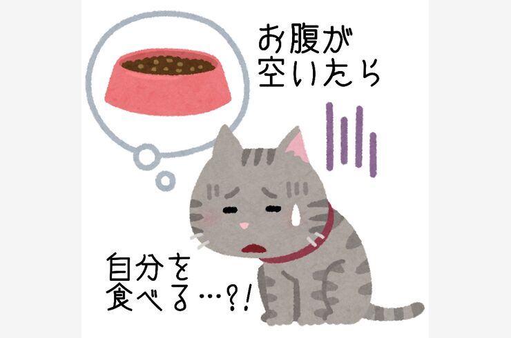 オートファジーとは