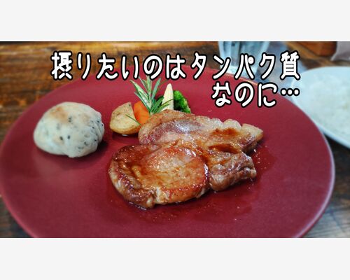 摂りたいのはタンパク質なのに